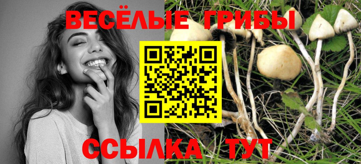Скопин  Галлюциногенные грибы MAGIC MUSHROOMS  где купить   Галлюциногенные грибы GOLDEN TEACHER  Вход с VPN 